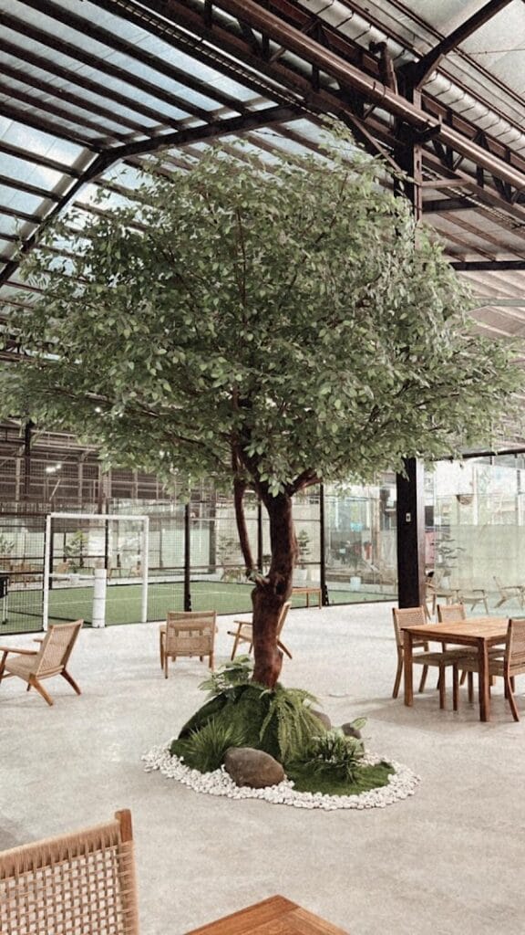 Bandeja Padel Arena