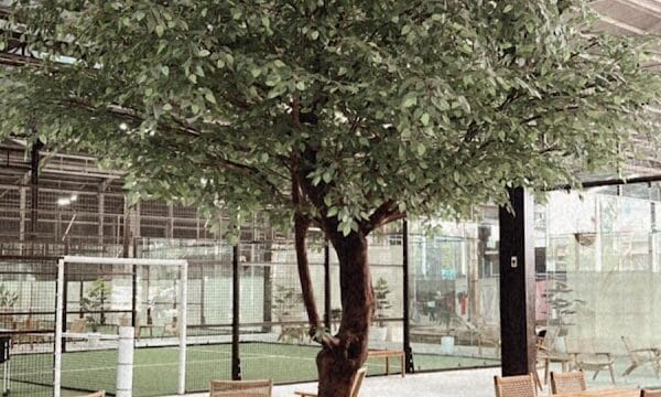 Bandeja Padel Arena