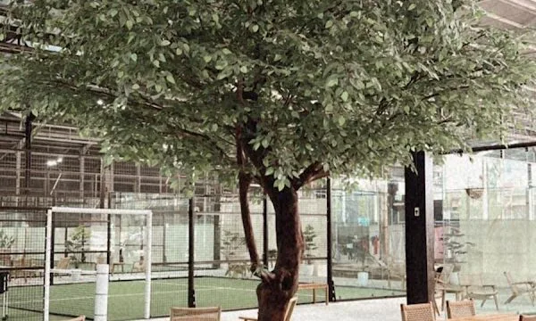 Bandeja Padel Arena 3
