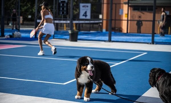 Sydney Racquet Club