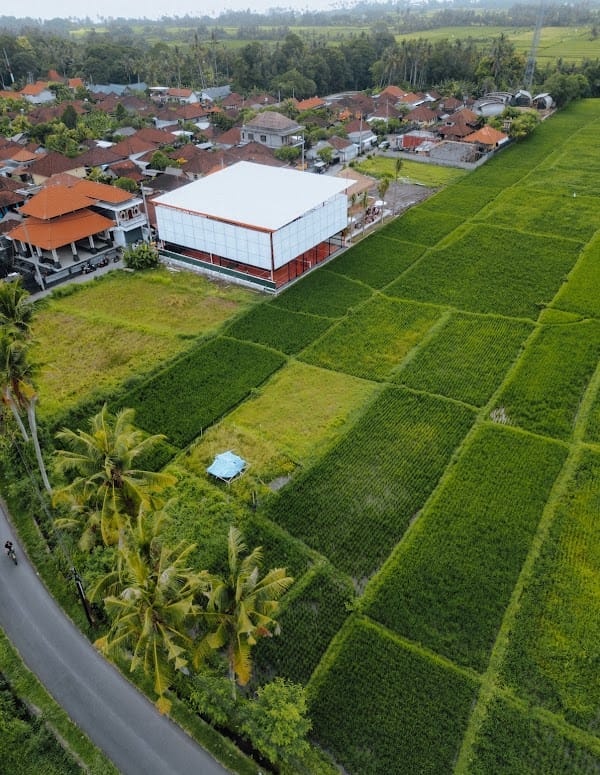 Jungle Padel Kedungu