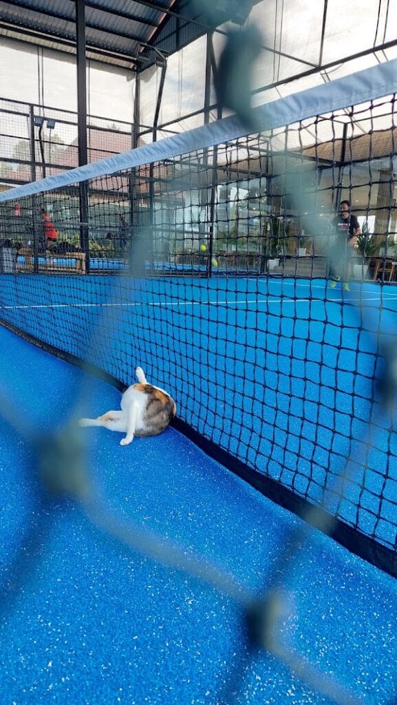 Jungle Padel Kerobokan