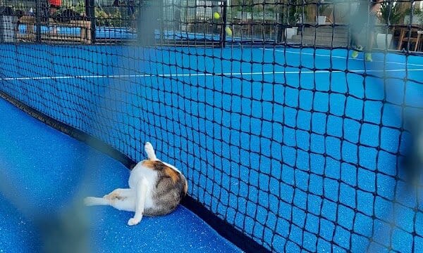 Jungle Padel Kerobokan