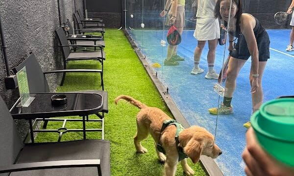 The Royale Padel, Pickleball & Recovery