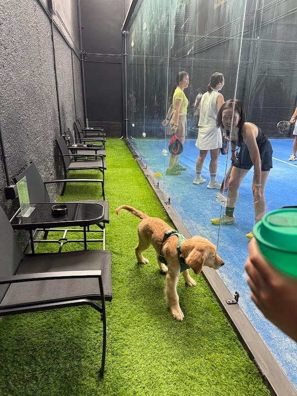 The Royale Padel, Pickleball & Recovery