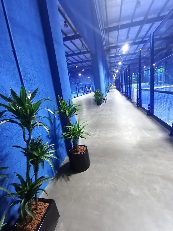 Oxygen Padel Sport Academy