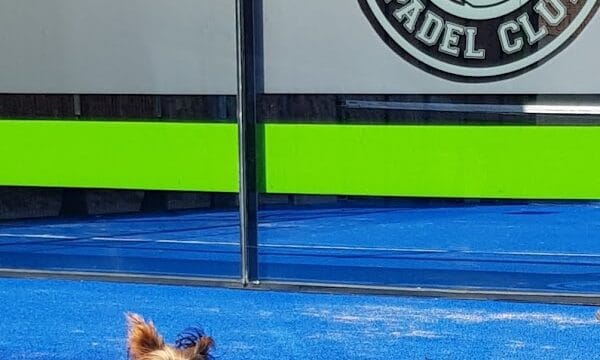 Avellaneda Padel Club