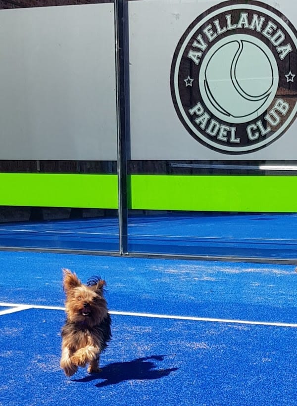 Avellaneda Padel Club