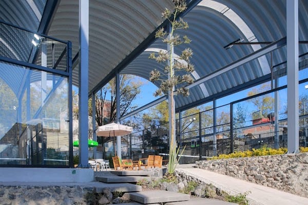 Está Pádel Tlalpan