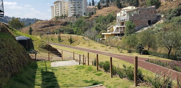 Club de Padel Lomas Del Rio