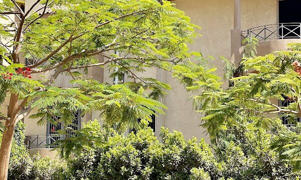 Pro Padel Egypt Le Jardin Residence