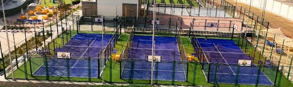Padel Bees
