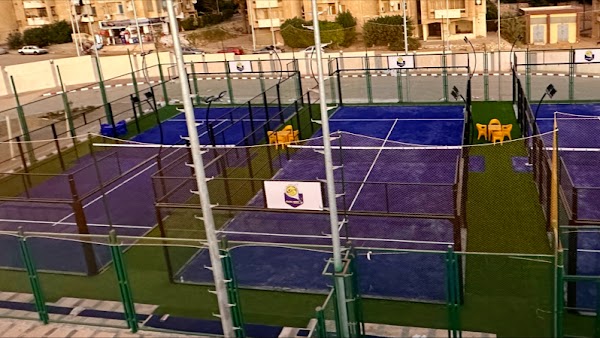 Padel Bees
