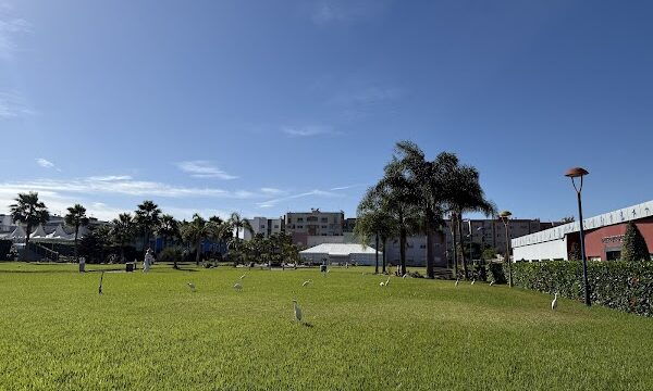 PimPam Padel Club Rabat 3