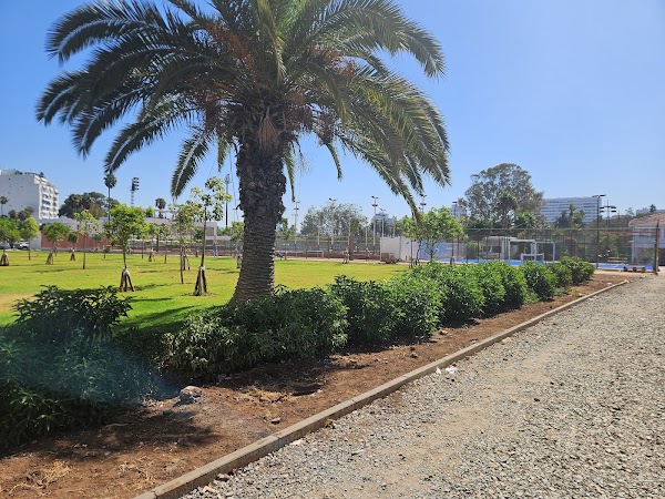 Union Sportive De Casablanca Moroccan Tennis Club 4