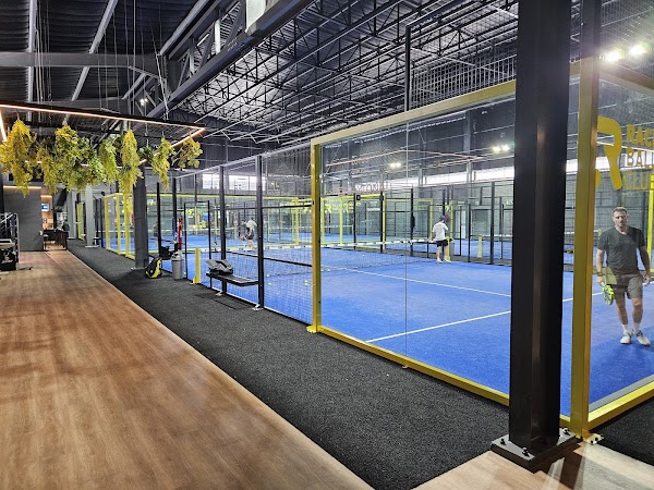 Racket and Ball Club 1