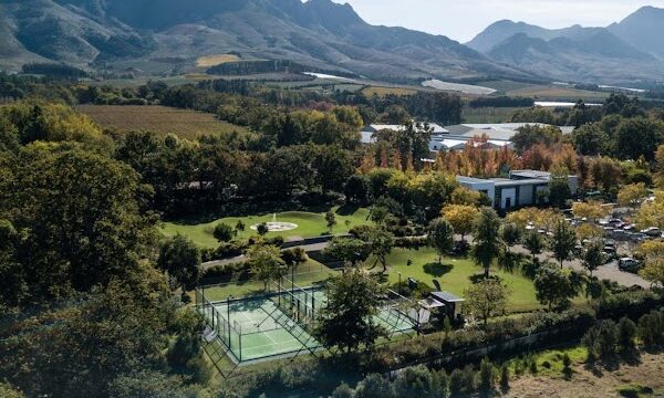 Virgin Active Padel & Pickleball - Lourensford 3