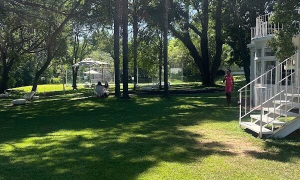 Grove Padel 4