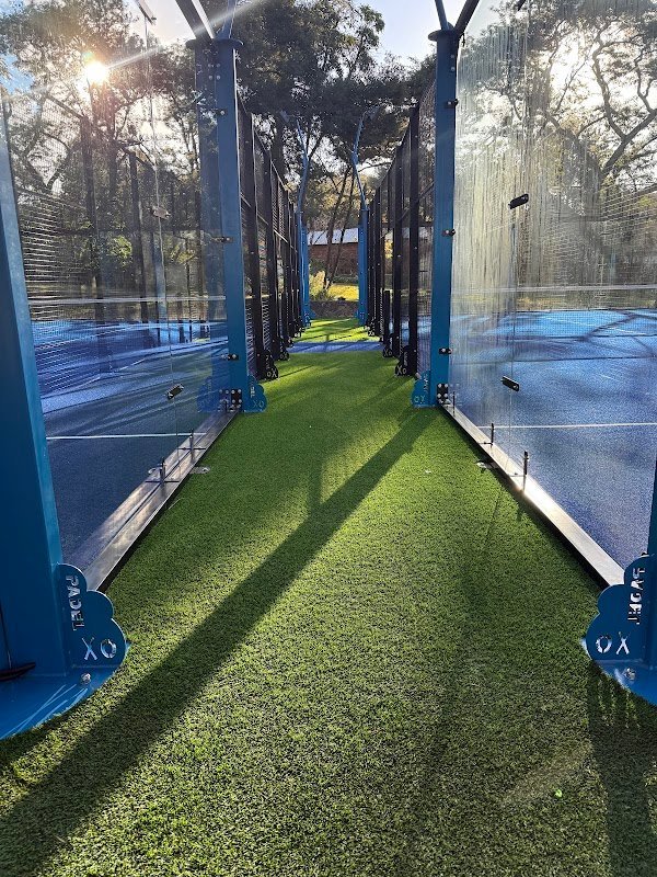 Forge Padel | Pickle 1